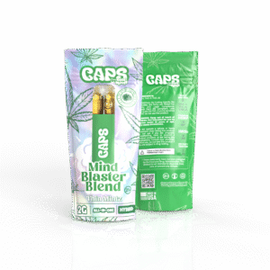Mind Blaster Blend 2G All-In-One – Thin Mintz